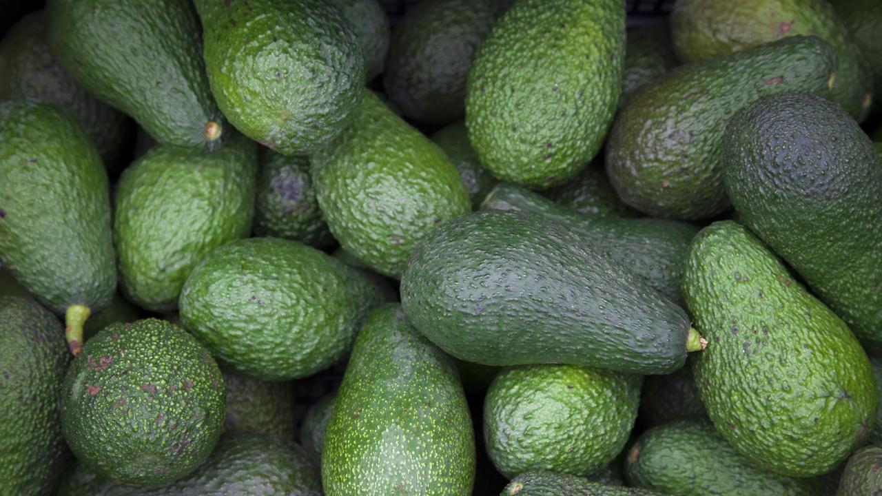 Avocado glut: Foodies cheer but farmers smashed as ‘perfect storm ...