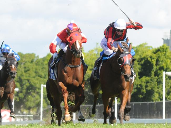 Royal Tithe (right) edges out Oink in the Ken Russell Memorial. Picture: Grant Peters, Trackside Photography