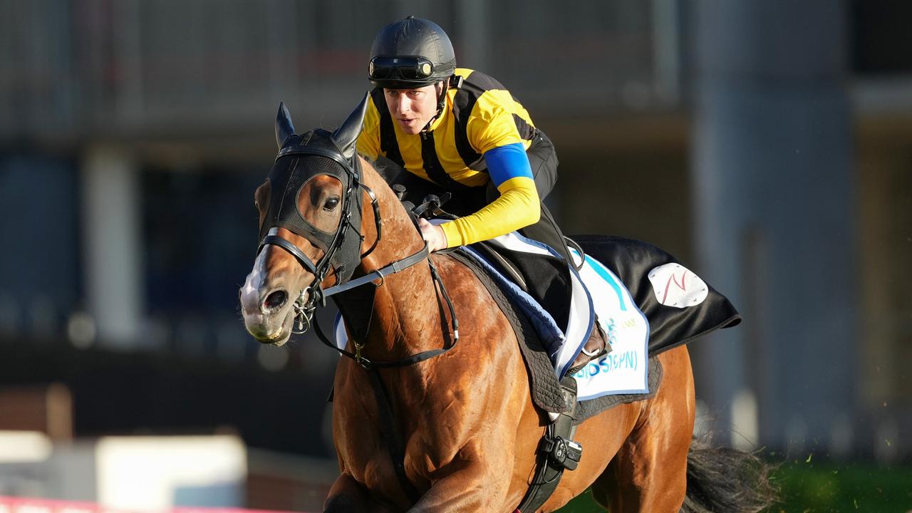 Damian Lane aboard Prognosis during trackwork at Moonee Valley. Picture: George Salpigtidis/Racing Photos via Getty Images