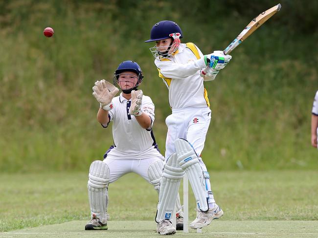 Helmets have been embraced across the board in junior cricket. Picture: Jonathan Ng