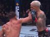 Joe Rogan loses it over UFC madness