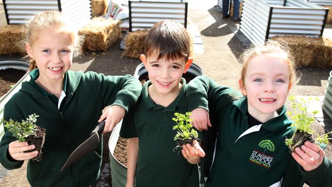 St Agnes Primary students plant seed of kitchen garden plan | news.com ...