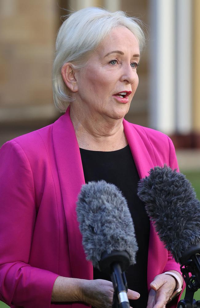 Opposition health spokeswoman Ros Bates. Picture: Liam Kidston.