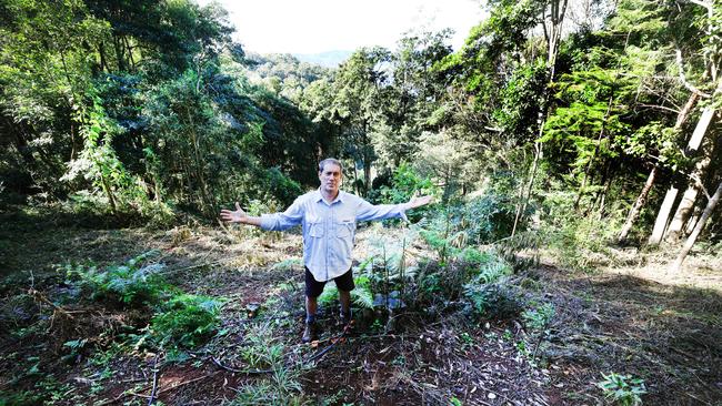 Adam Morton surveys the rewgrowth after the damage done to the area. Picture Glenn Hampson