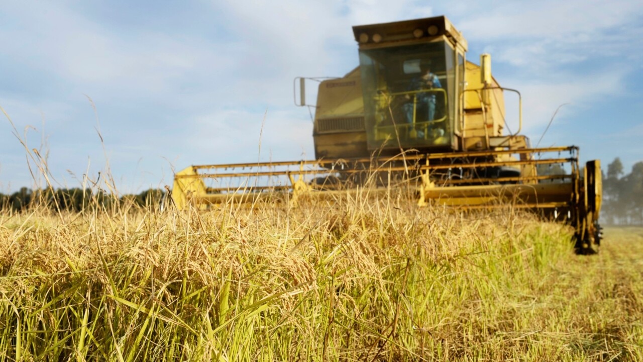 ‘War on our farmers’: Producers see little profit amid supermarket price hikes