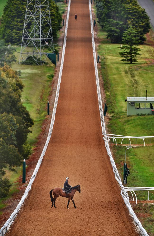 The hill track seems to stretch on forever at the Ballarat training stables. Photo: Tony Gough