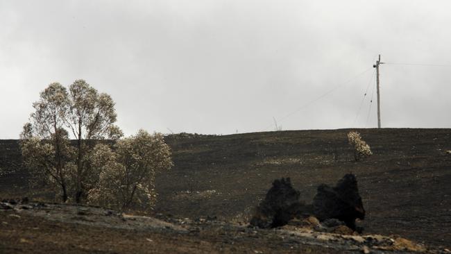 A single-wire-earth-return powerline sparked the East Kilmore-Kinglake fire complex that killed 119 people.