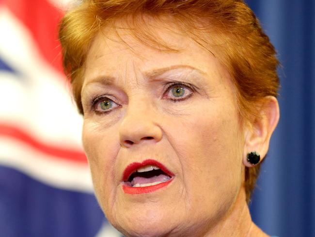 Pauline Hanson announces Raj Guruswamy and George Christiansen to run for the senate, One Nation Pauline Hanson presser, Brisbane City, on Wednesday April 13th - Photo Steve Pohlner