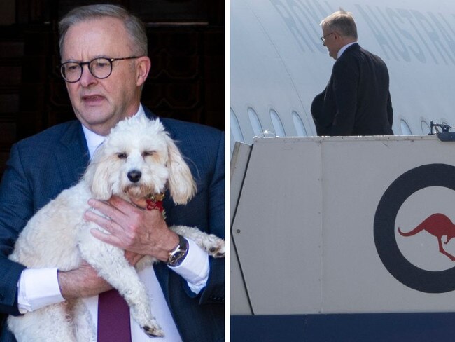 The prime minister has shot down the suggestion he has nick named his VIP plane Toto One after his cavoodle.