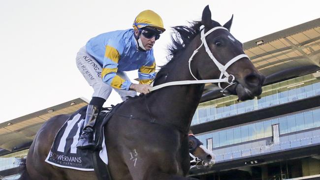 Blondeau will make his debut for trainer Clayton Douglas in the Wangoom Handicap at Warrnambool on Wednesday. Picture: Mark Evans/Getty Images