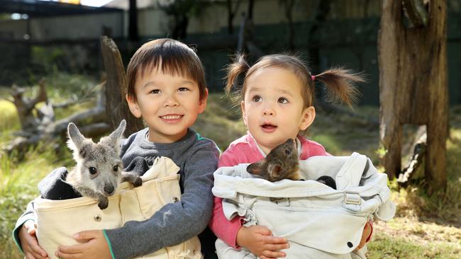 Noah Ang, 5, and Izzy Ang, 1, in August 2017. Picture: Tim Hunter