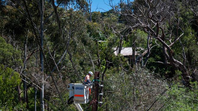 Work being carried out on powerlines in Aldgate after the recent storm. Picture: NCA NewsWire / Naomi Jellicoe