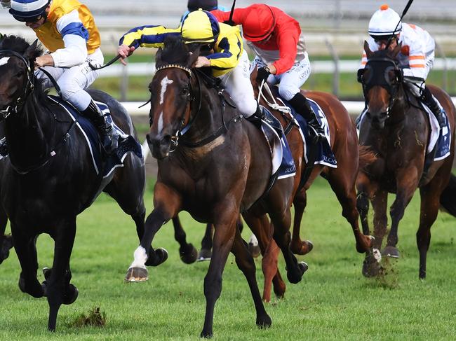 Molly Bloom, ridden by Blake Shinn, wins the Group 2 Hallmark Stud Eight Carat Classic at Pukekohe on Boxing Day 2023. Picture: Kenton Wright/Race Images