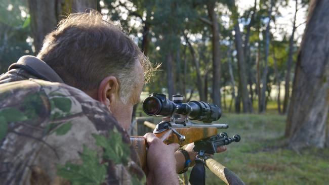 Lockout fear: Hunters fear being locked of more than 415,000ha of State Forests. Picture: Dannika Bonser