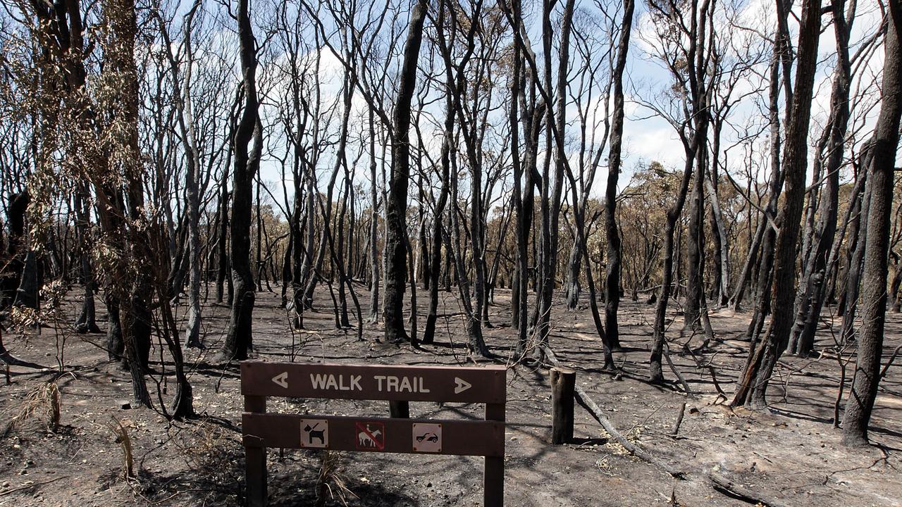 Severe bushfire conditions are threatening a volatile holiday season for WA. Picture: Will Russell - Pool/Getty Images