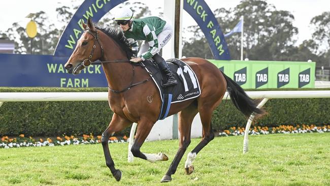 The Annabel Neasham and Rob Archibald-trained Sunshine Law is Ray Thomas's best bet of the day at Scone on Thursday. Picture: Bradley Photos