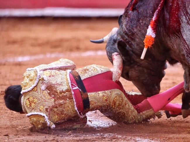 Matador Antonio Romero pays a heavy price in the bull ring.