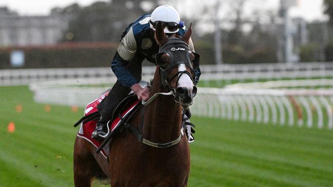 Soulcombe travelled sweetly around Caulfield on Tuesday morning. Picture: Vince Caligiuri/Getty Images