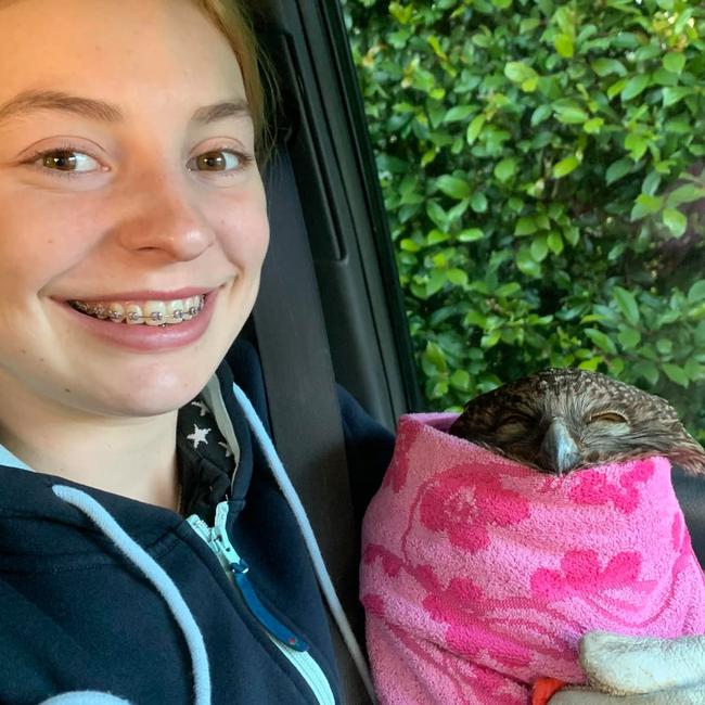 Sydney Wildlife Rescue volunteer Grace Campbell with the powerful owl, swaddled in a pink towel. Picture: Sydney Wildlife Rescue