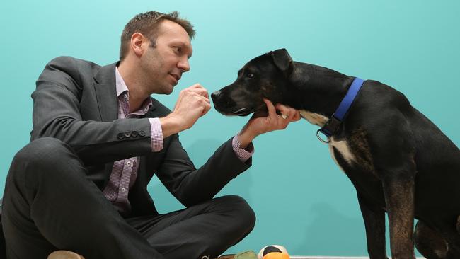 National Veterinary Care owns and operates veterinary clinics in Australia and New Zealand. Managing Director Tomas Steenackers with Chevy, a one-year-old male, at their Yatala clinic. Picture: Glenn Hampson