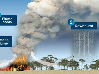 Pyrocumulonimbus cloud development. Picture: BOM.