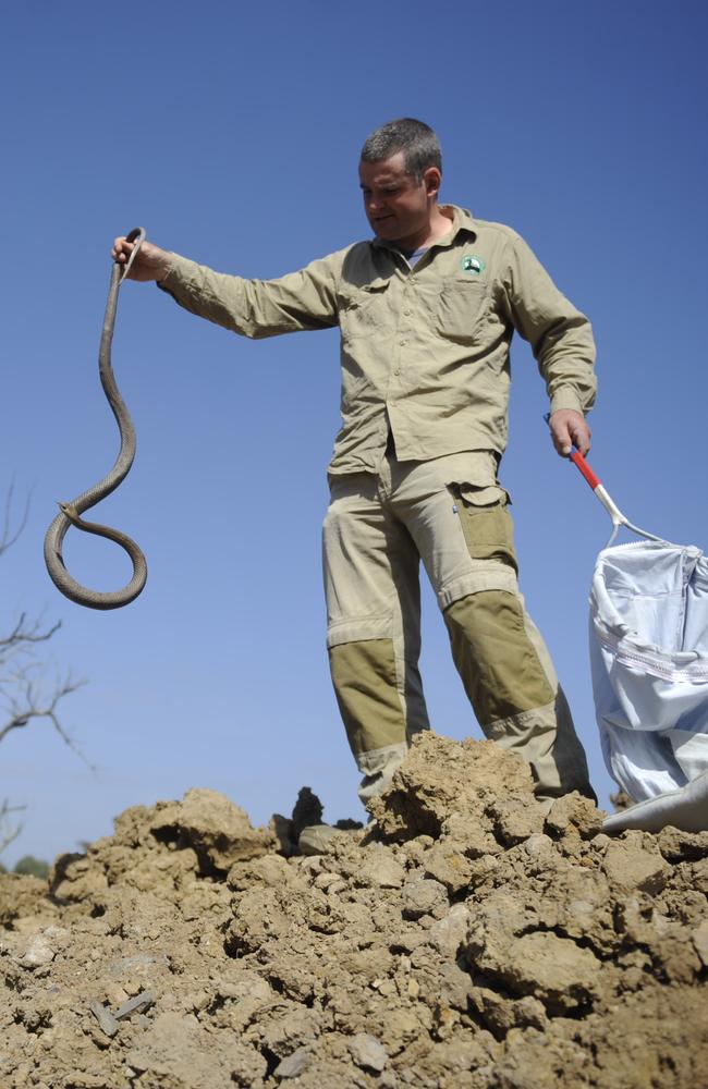 Rob Ambrose removed a 1.7 metre snake from near a Schofields property.