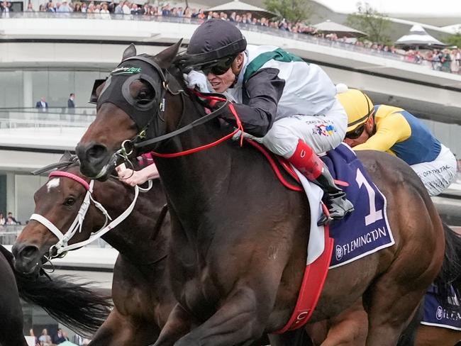 Mr Brightside (NZ) ridden by Craig Williams wins the VRC Champions Mile at Flemington Racecourse on November 09, 2024 in Flemington, Australia. (Photo by George Sal/Racing Photos via Getty Images)