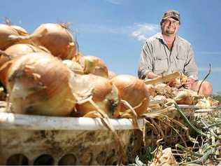 Kalfresh managing director Robert Hinrichsen with the Queensland onion which is getting a plug in a national advertising campaign encouraging people to buy local produce. . Picture: Rob Williams