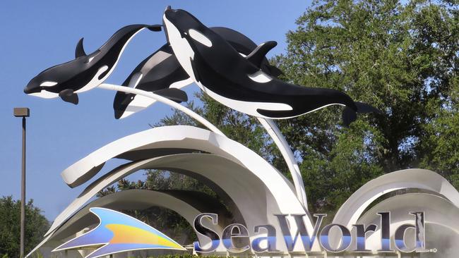 SeaWorld Orlando in Orlando, Florida. Picture: AP