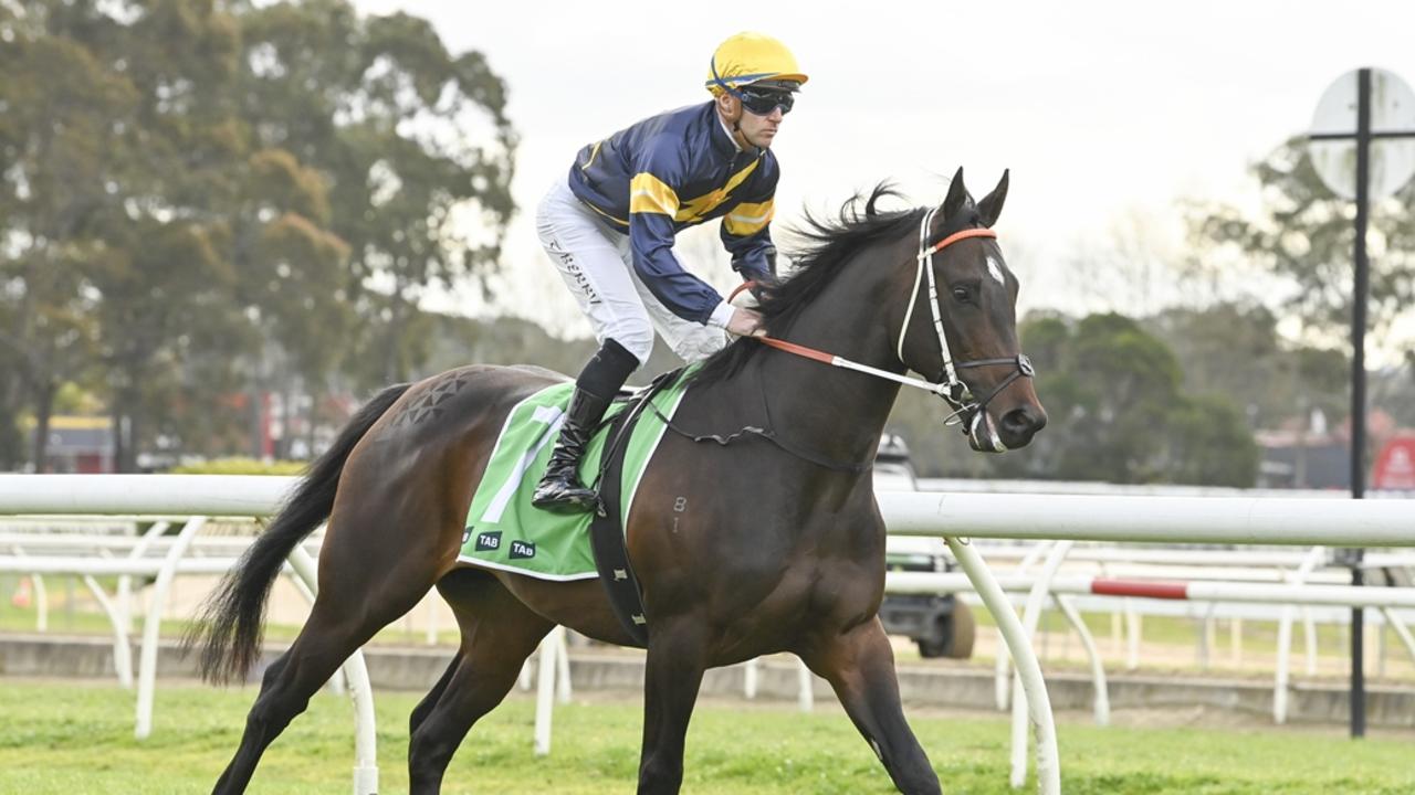 Theblade, a close relation to Black Caviar, cruised to victory on debut at Randwick Kensington on Wednesday. Picture: Bradley Photos