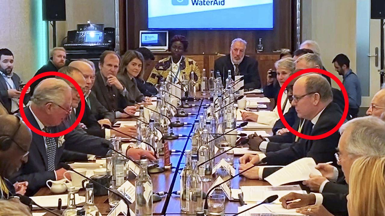 Charles sat across from Albert at the WaterAid summit. Picture: PA via AP