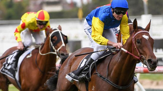 Black Heart Bart gets his chance to finally win at Group 1 level when he steps out at Morphettville. Picture: Getty Images