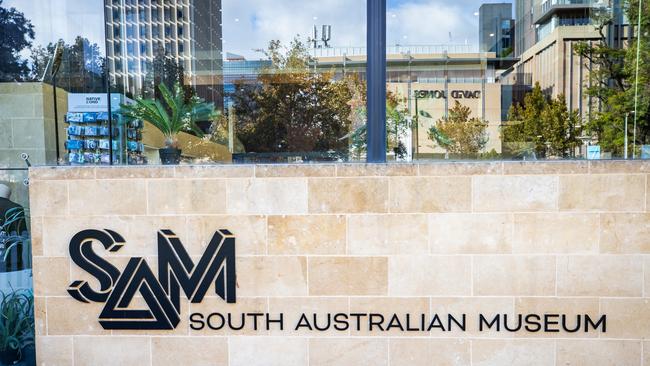 Staff whistleblowers at the South Australia Museum claim the institution is dealing with a toxic culture of pervasive bullying and failing to pay its bills on time. Picture: Tom Huntley