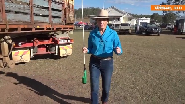 Pauline Hanson suggests police should use cattle prods on climate protesters