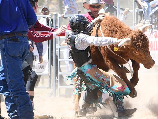 MEGA GALLERY (130+ pics): Sports photos from around Rocky, Mt Morgan and Yeppoon