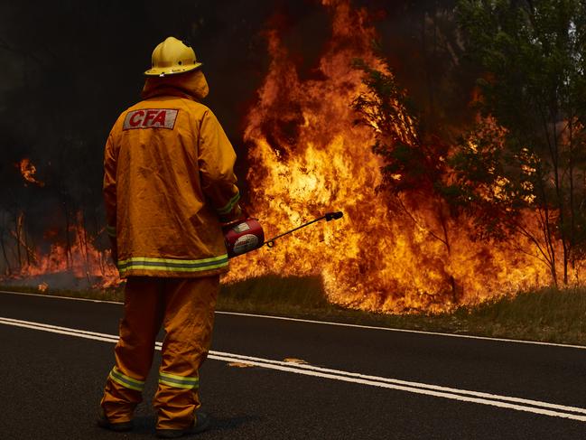 CFA member works on controlled back burns along Putty Road earlier this week near Colo Heights. . (Photo by Brett Hemmings/Getty Images)