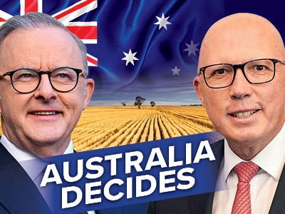 Online art for the 2025 Federal election