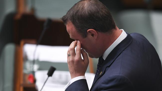 Tim Wilson was tearful after the proposal. Picture: AAP.