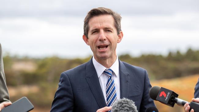 TALK TALK: Federal Minister for Trade, Tourism and Investment Simon Birmingham will be the Liberals’ spokesman during the federal election campaign (AAP Image/James Elsby) N