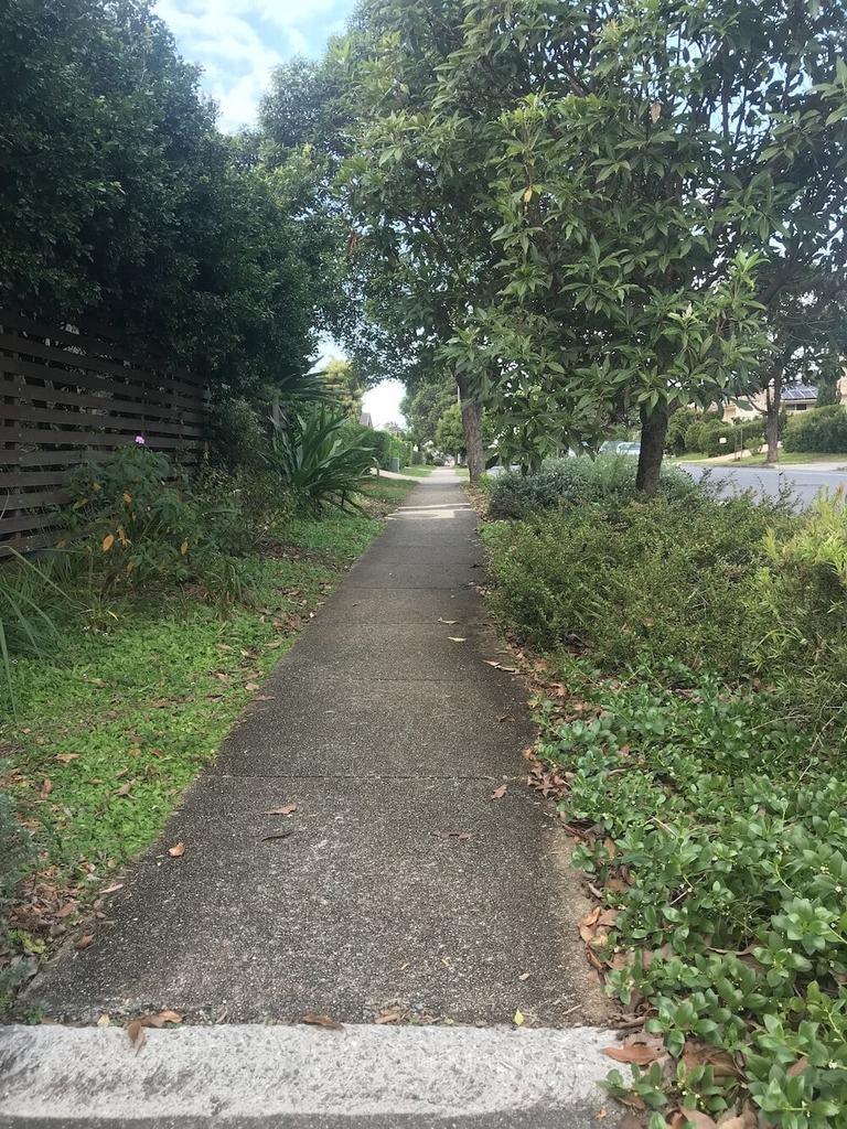 Verge gardens are growing in popularity across the country. Picture: The Shady Lane Project