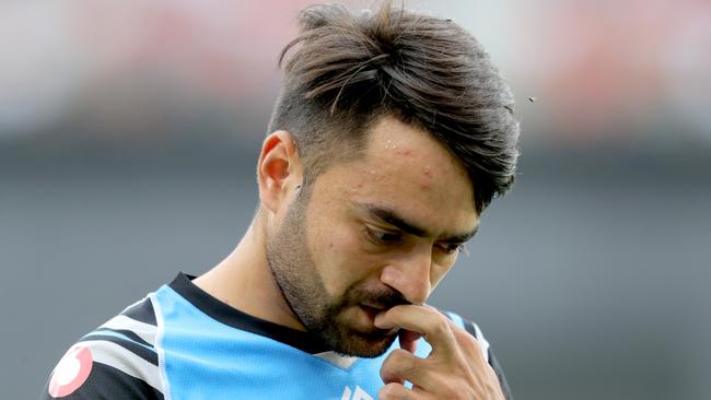 Did you trade Rashid Khan? Time to bring him back. Pic: AAP 