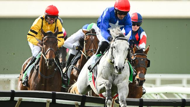 The Cunning Fox won an outstanding edition of the Galleywood Hurdle at Warrnambool. Picture: Getty Images.