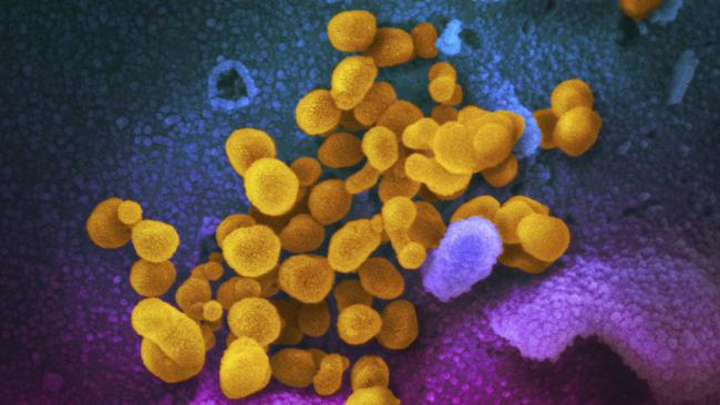 KKR believes the fallout from the novel coronavirus pandemic is creating buying opportunities in the Asia-Pacific Picture: AP