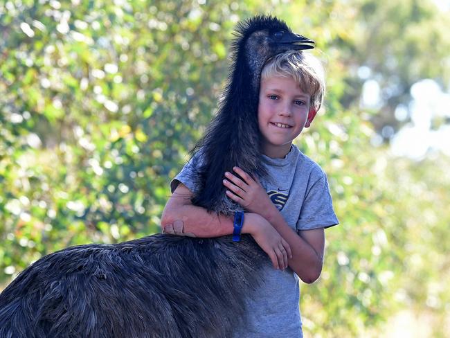 05/03/21 - Felix Rosenberg, 9, with his pet emu Kiri at home in Birdwood.Picture: Tom Huntley