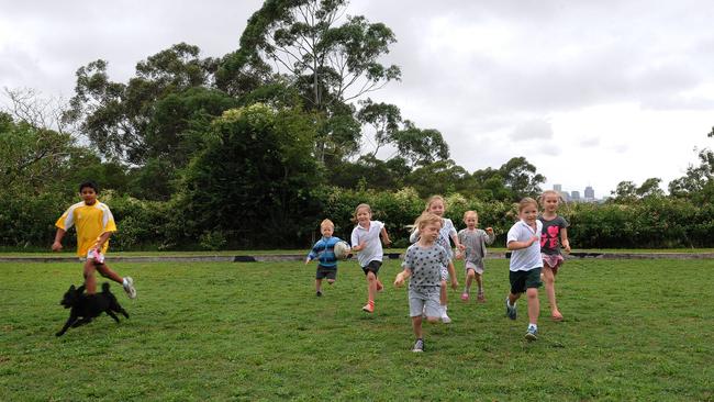 Children play in the park at Longueville Rd. Residents have raised concerns about losing green space and environmental damage.