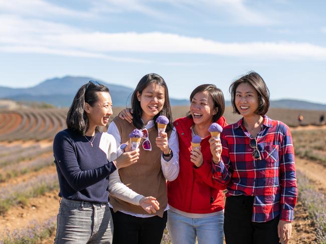 Chinese tourists at Tasmania's Bridestowe Lavender Estate. Picture By Mel de Ruyter