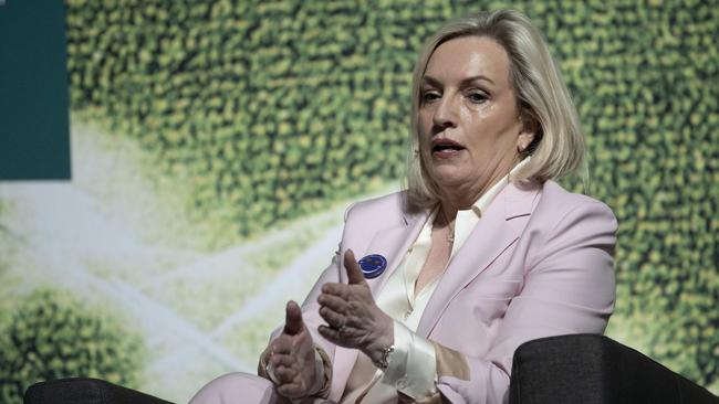 Team Global Express CEO Christine Holgate likes to take potshots at Australia Post. Picture: Arsineh Houspian