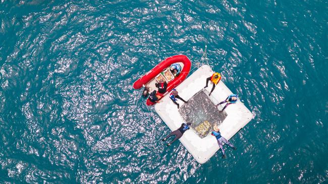 Marine biologists check the development of coral larvae at specially designed pools situated on Agincourt Reef. Photo: Suppliedc