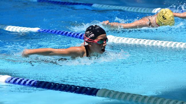 South West School Sport district swimming carnival, held in Charleville.