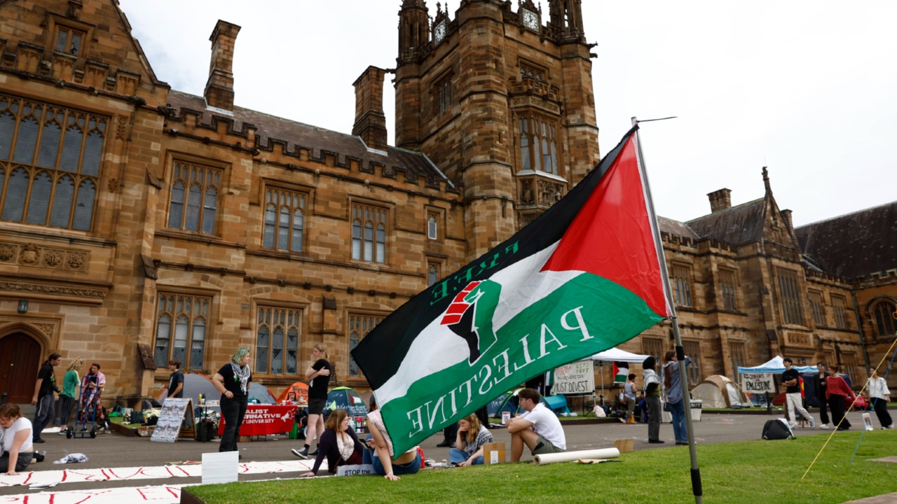 ‘Extremist Islamist groups’ influencing student protests at Sydney University